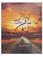 جاده ای به مقصد آسمان  | آیلین عبدی