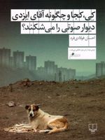 کی، کجا و چگونه آقای ایزدی دیوار صوتی را می شکند؟  | احسان فولادی فرد