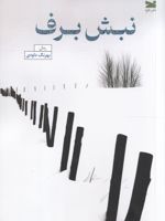 نبش برف  | بهرنگ داودی
