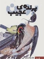 پرنده ی عجیب  | جف وندرمیر