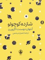 شازده کوچولو (جیبی)  | آنتوان دو سنت اگزوپری