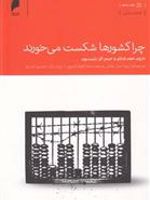 چرا کشورها شکست می خورند  | دارون عجم اوغلو