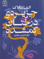 جزیره درختان گمشده  | الیف شافاک
