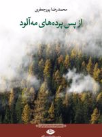 از پس پرده های مه آلود  | محمدرضا پورجعفری