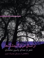 از شمال شرق گنجشک ها  | یاسین محمدی