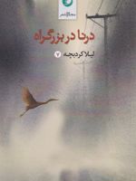درنا دربزرگراه  | لیلا کرد