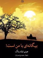 بیگانه ای با من است  | جوی فیلدینگ