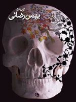 بهمن رضایی گزیده آثار | بهمن رضایی