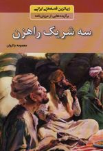 سه شریک راهزن