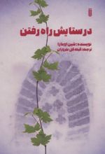 در ستایش راه رفتن