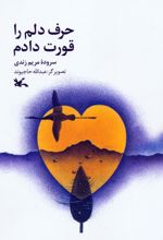 حرف دلم را قورت دادم