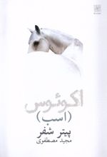 اکوئوس (اسب)