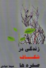 زندگی در شکاف صخره ها