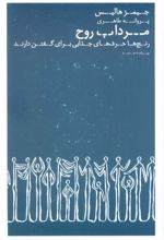 مرداب روح