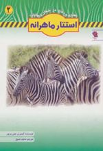 استتار ماهرانه