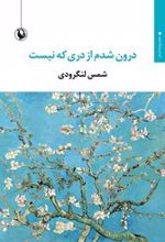 درون شدم از دری که نیست