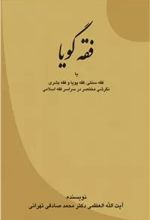 فقه گویا