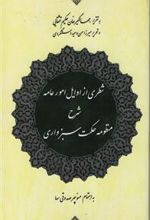 شطری‏ از اوایل‏ امور عامه