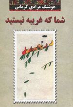 شما که غریبه نیستید