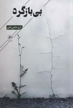 بی بازگرد