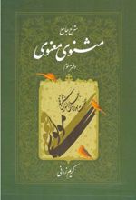 شرح جامع مثنوی معنوی (دفتر سوم)