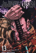 مجموعه مانگا : jujutsu kaisen 13