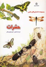 حشرات