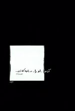 آن روز او را در باغچه کاشتند