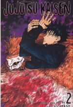 Jujutsu Kaisen 2