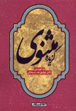 گزیده مثنوی