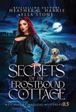 Secrets of the Frostbound Cottage