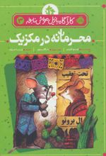 محرمانه در مکزیک