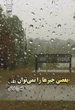 بعضی چیزها را نمی توان گفت