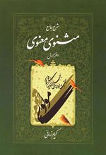 شرح جامع مثنوی معنوی (دفتر اول)