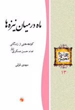 ماه در میان نیزه ها