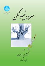 سرود نیبلونگن