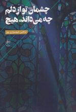 چشمان تو از دلم چه می داند، هیچ