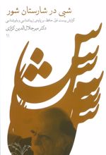 شبی در شارستان شور