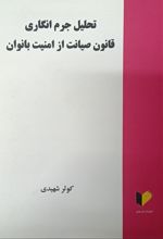 تحلیل جرم‌انگاری قانون صیانت از امنیت بانوان