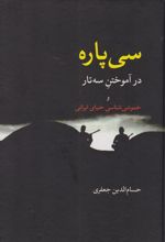 کتاب سی پاره در آموختن سه تار