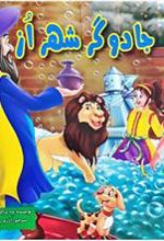 کتاب جادوگر شهر از