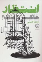 کتاب انتظار خاکستری است!