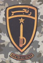 کتاب رنجر