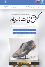 جلد کتاب کفش آهنی‌ات را دربیاور