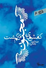 کتاب کفشهای مجنون گم گشت