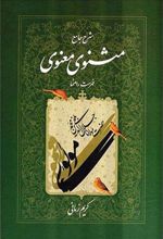 کتاب شرح جامع مثنوی معنوی (دفتر هفتم)