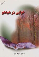 کتاب خوابی در هیاهو