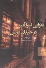 جلد کتاب نانوایی اسرار آمیر در خیابان پاریس