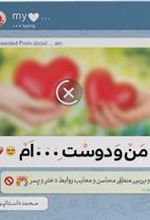 کتاب من و دوست ... ام