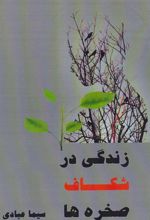 کتاب زندگی در شکاف صخره ها